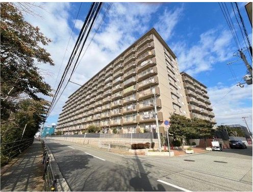 ��ˎs���l�A�}���V�����A��ˎs���l�R�|�|���X�E�t����w�E�}��