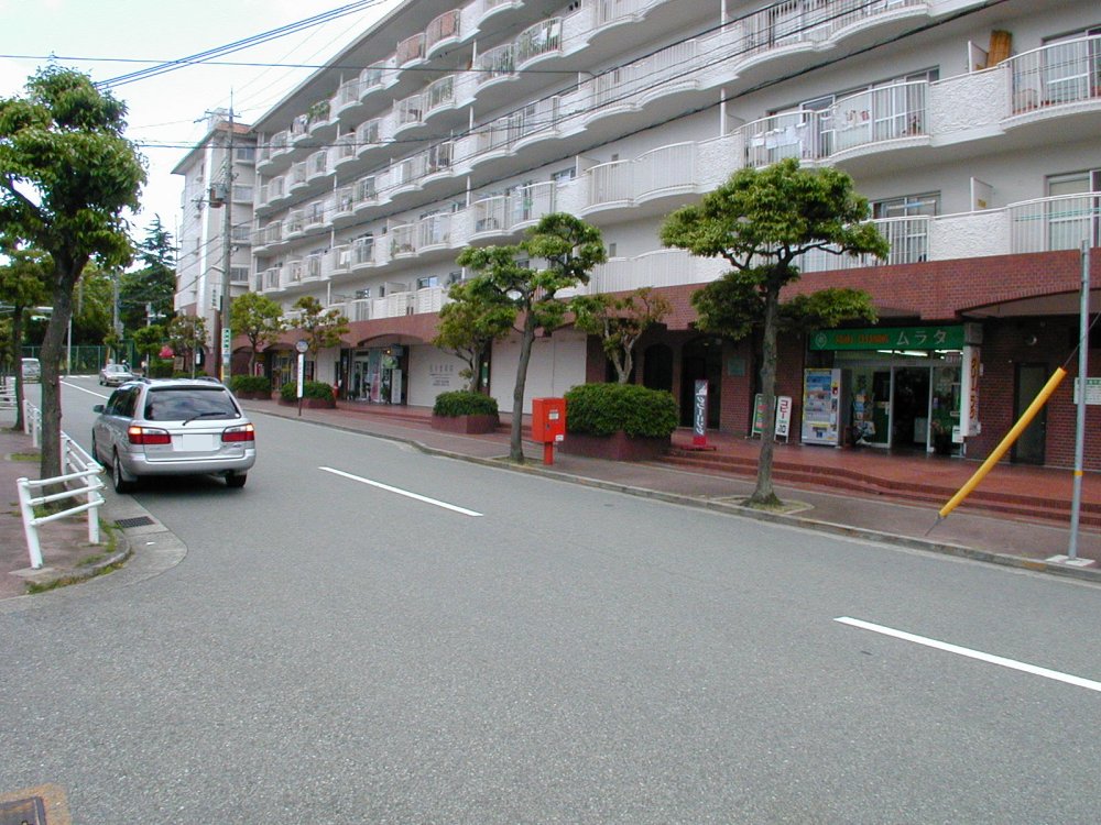 ��ˎs�t����A��ˎs�}���V�����A��}�t���t����}���V�����A�t����w�E�ʐ^1