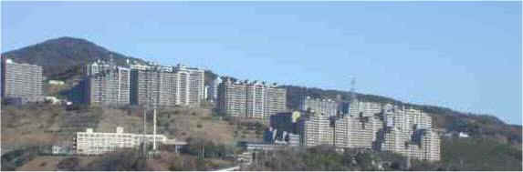 ���r�X�^���